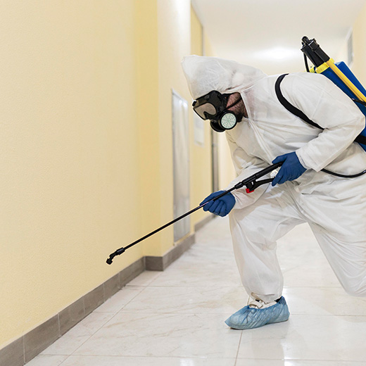 pest control Kenya, pest control services Nairobi, fumigation services Kenya, termite control Kenya, rodent control Kenya, cockroach control Nairobi, bed bug fumigation Kenya, pest exterminators Mombasa, professional pest control Kisumu, pest management Eldoret, affordable fumigation Nakuru, pest inspection Thika, pest treatment Machakos, residential pest control Kenya, commercial pest control Nairobi, pest control company Kenya, best fumigation services Kenya, home pest control Nairobi, office pest control Kenya, pest eradication Kenya